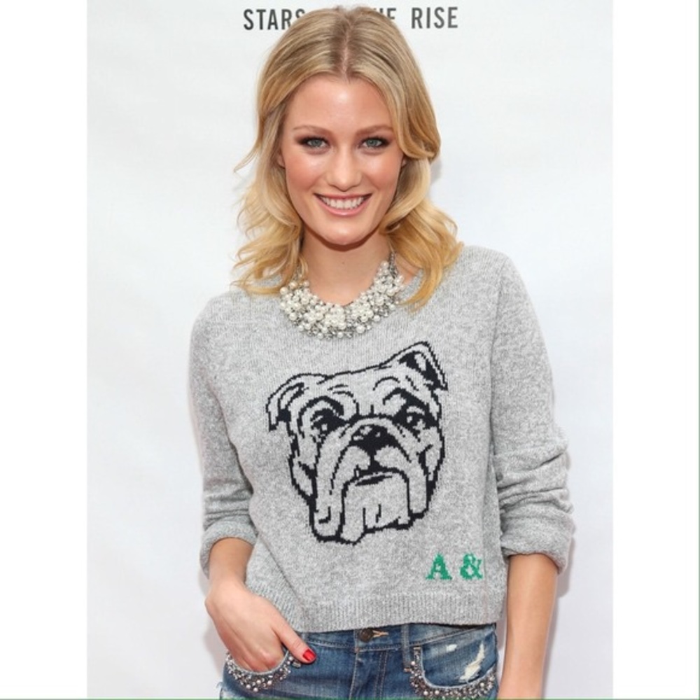 Abercrombie & Fitch Bulldog Crop Sweater | Small